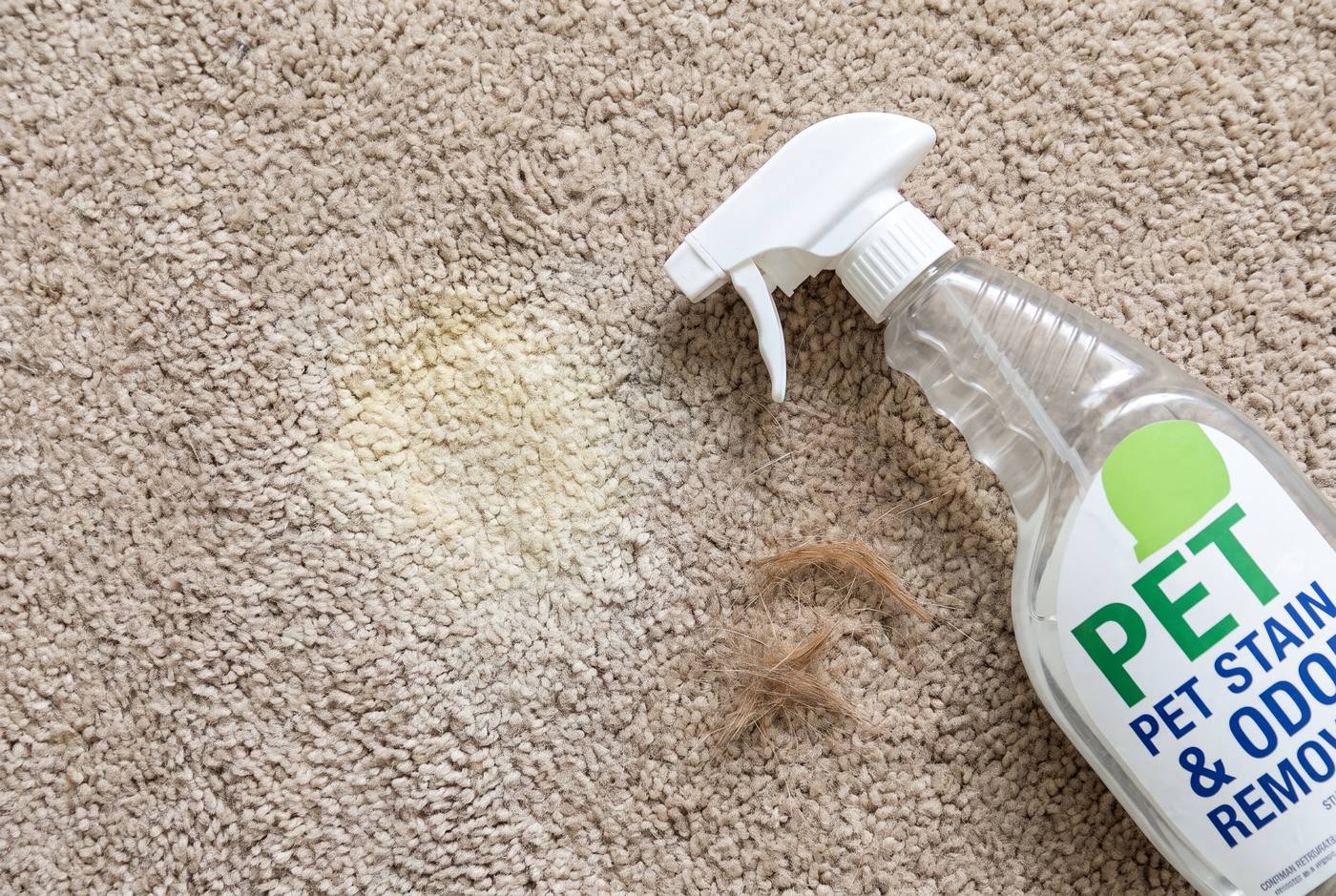 Urine stain on carpet with pet odor spray beside it